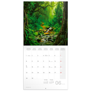 Fotografie k reklamnímu předmětu „NOTIQUE Poznámkový kalendář Deštné pralesy 2026, 30 x 30 cm“