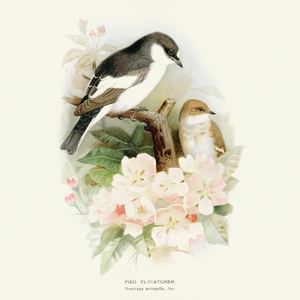 Fotografie k reklamnímu předmětu „NOTIQUE Poznámkový kalendář Ptáčci 2026, 30 x 30 cm“