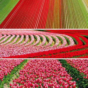 Fotografie k reklamnímu předmětu „NOTIQUE Poznámkový kalendář Paleta 2026, 30 x 30 cm“