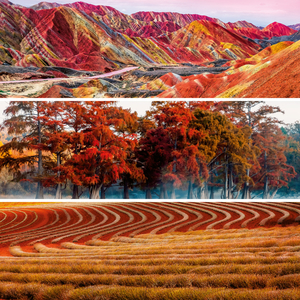 Fotografie k reklamnímu předmětu „NOTIQUE Poznámkový kalendář Paleta 2026, 30 x 30 cm“