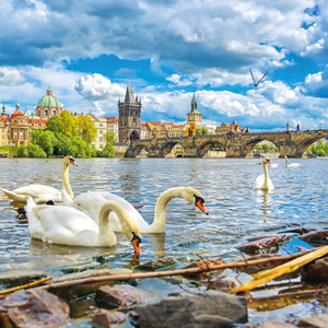 Fotografie k reklamnímu předmětu „NOTIQUE Poznámkový kalendář Praha 2026, 30 x 30 cm“