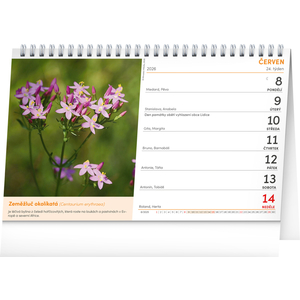 Fotografie k reklamnímu předmětu „NOTIQUE Stolní kalendář Přírodní lékárna 2026, 23,1 x 14,5 cm“