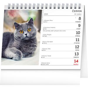 Fotografie k reklamnímu předmětu „NOTIQUE Stolní kalendář Kočky – se jmény koček 2026, 16,5 x 13 cm“