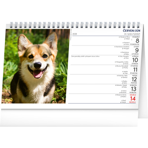 Fotografie k reklamnímu předmětu „NOTIQUE Stolní kalendář Psi – Psy CZ/SK 2026, 23,1 x 14,5 cm“