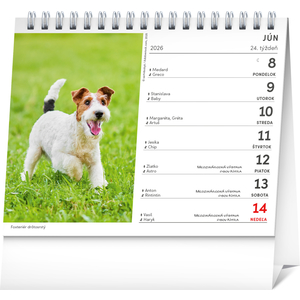 Fotografie k reklamnímu předmětu „NOTIQUE Stolový kalendár Psy – s menami psov 2026, 16,5 x 13 cm“