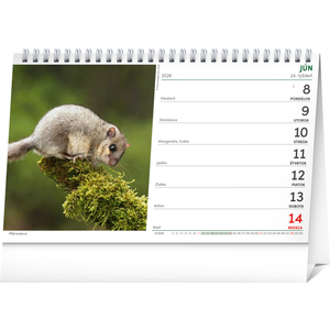 Fotografie k reklamnímu předmětu „NOTIQUE Stolový Poľovnícky kalendár 2026, 23,1 x 14,5 cm“
