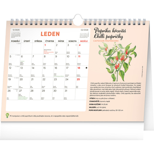 Fotografie k reklamnímu předmětu „NOTIQUE Měsíční plánovací kalendář se semínky 2026, 30 x 21 cm“
