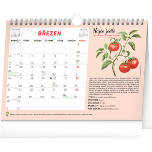 Fotografie k reklamnímu předmětu „NOTIQUE Měsíční plánovací kalendář se semínky 2026, 30 x 21 cm“