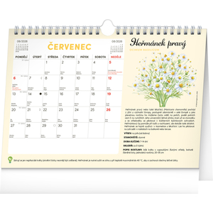 Fotografie k reklamnímu předmětu „NOTIQUE Měsíční plánovací kalendář se semínky 2026, 30 x 21 cm“