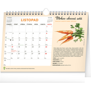 Fotografie k reklamnímu předmětu „NOTIQUE Měsíční plánovací kalendář se semínky 2026, 30 x 21 cm“