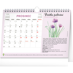 Fotografie k reklamnímu předmětu „NOTIQUE Měsíční plánovací kalendář se semínky 2026, 30 x 21 cm“