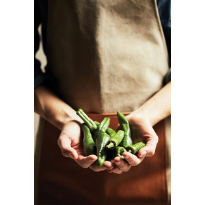 Fotografie k reklamnímu předmětu „Zástěra VINGA Asado“