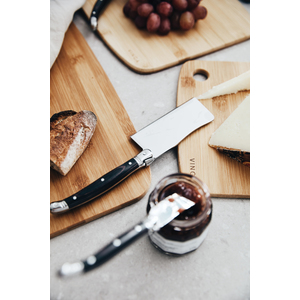 Fotografie k reklamnímu předmětu „Nože na sýr VINGA Gigaro“