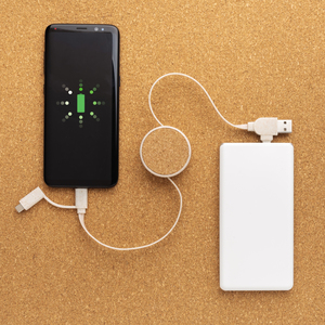 Fotografie k reklamnímu předmětu „Svinovací kabel 6 v 1 z korku a pšenice“