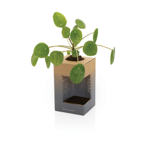 Fotografie k reklamnímu předmětu „Termohrnek Avira Alya 300ml z RCS recyklované oceli“