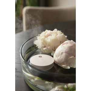 Fotografie k reklamnímu předmětu „Dobíjecí plovoucí zvlhčovač vzduchu Breevia z RCS RPET“