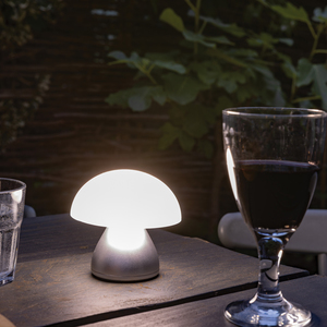 Fotografie k reklamnímu předmětu „USB stolní lampa Luming z RCS recykl. plastu“