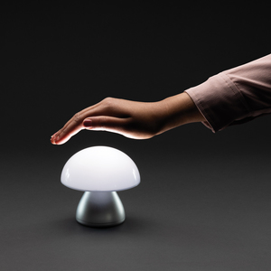 Fotografie k reklamnímu předmětu „USB stolní lampa Luming z RCS recykl. plastu“