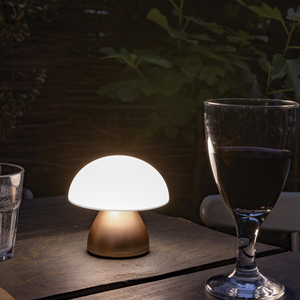 Fotografie k reklamnímu předmětu „USB stolní lampa Luming z RCS recykl. plastu“