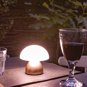 Fotografie k reklamnímu předmětu „USB stolní lampa Luming z RCS recykl. plastu“