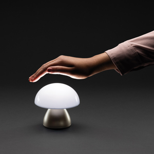 Fotografie k reklamnímu předmětu „USB stolní lampa Luming z RCS recykl. plastu“